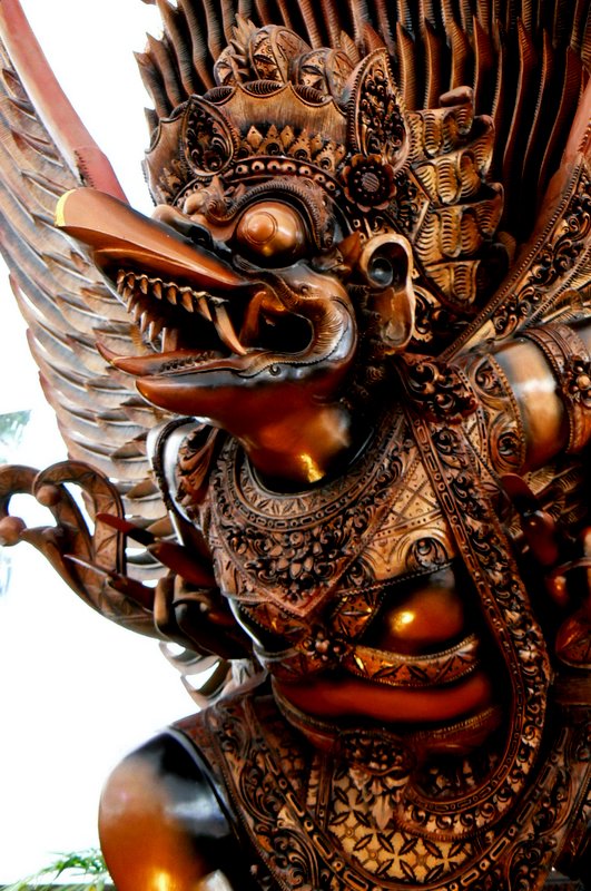 the garuda