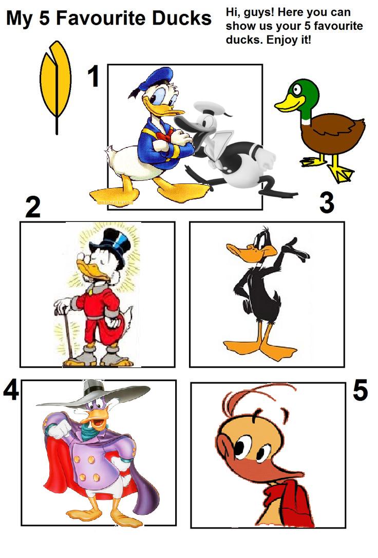 My Top Five Ducks by Austria-Man on DeviantArt My Top Five Ducks by Austria-Man on DeviantArt