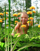 Little one and Dandelions