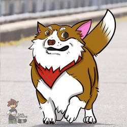 Corgi 2