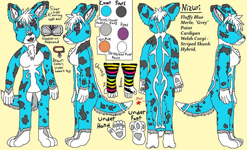 Nizuri Reference Sheet