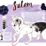 comm: salem