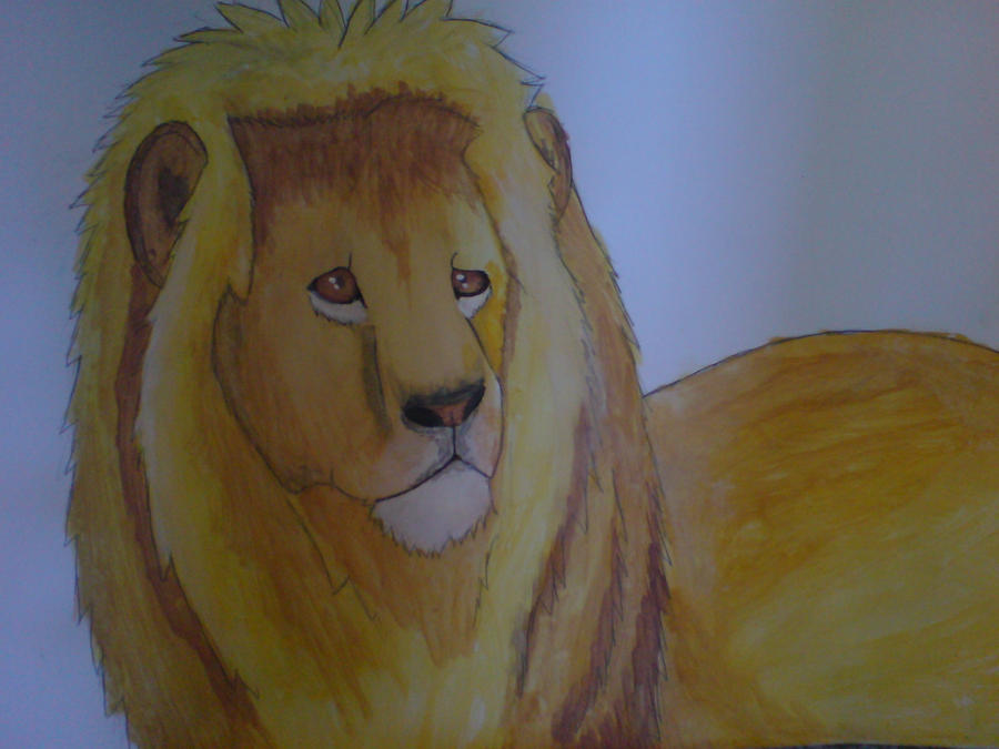 Golden lion of gold O_o