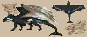 Orca Dragon Concept