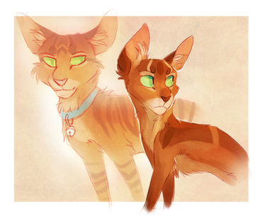 Firestar and Jake