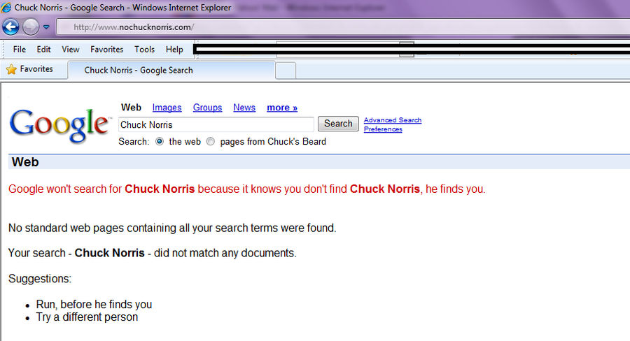 google wont find chuck norris by tori