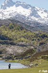 Love at Covadonga lakes by sfeitofoto