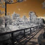 Infrared Photography