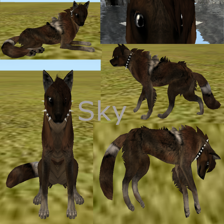 Sky  Feral-Heart Adoption -Closed-