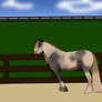 For neezineri-stables