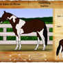 HCE Balou du Rouet