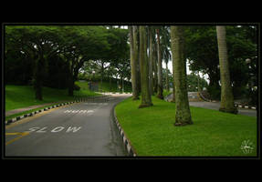 Hump ahead
