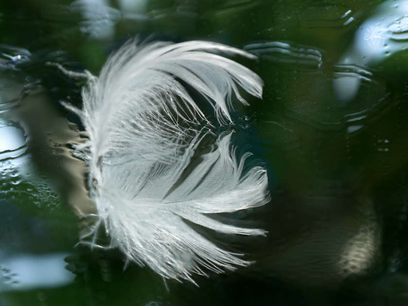 Walking on water