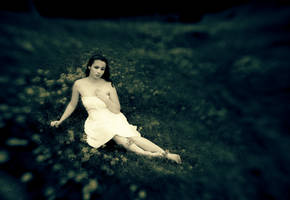 Dreamland