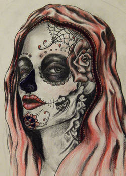 Day of the Dead Pink Veil