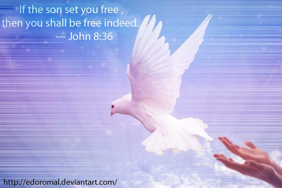 John 8:36 Bible Verse by edoromal on DeviantArt