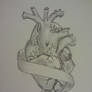 Anatomical Heart Tattoo