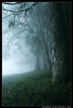 polipoli:trees.inthe.mist:1