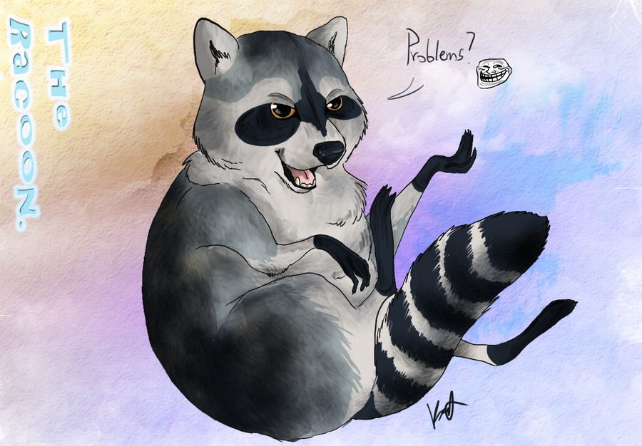 The racoon by KoomaWolf on DeviantArt