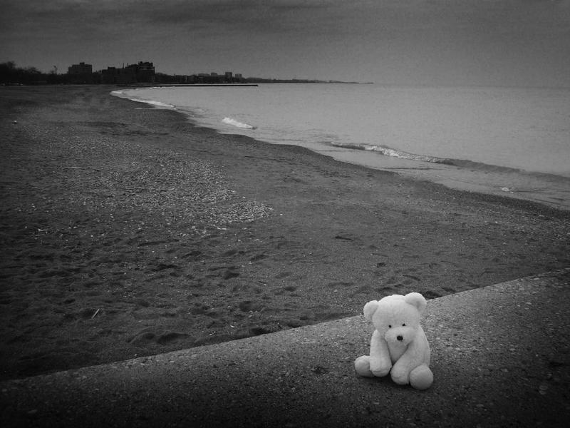 Lonely Bear 5