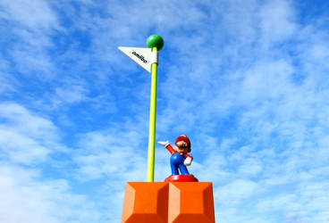 Mario at the FlagPole