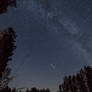 Milky Way above the forest