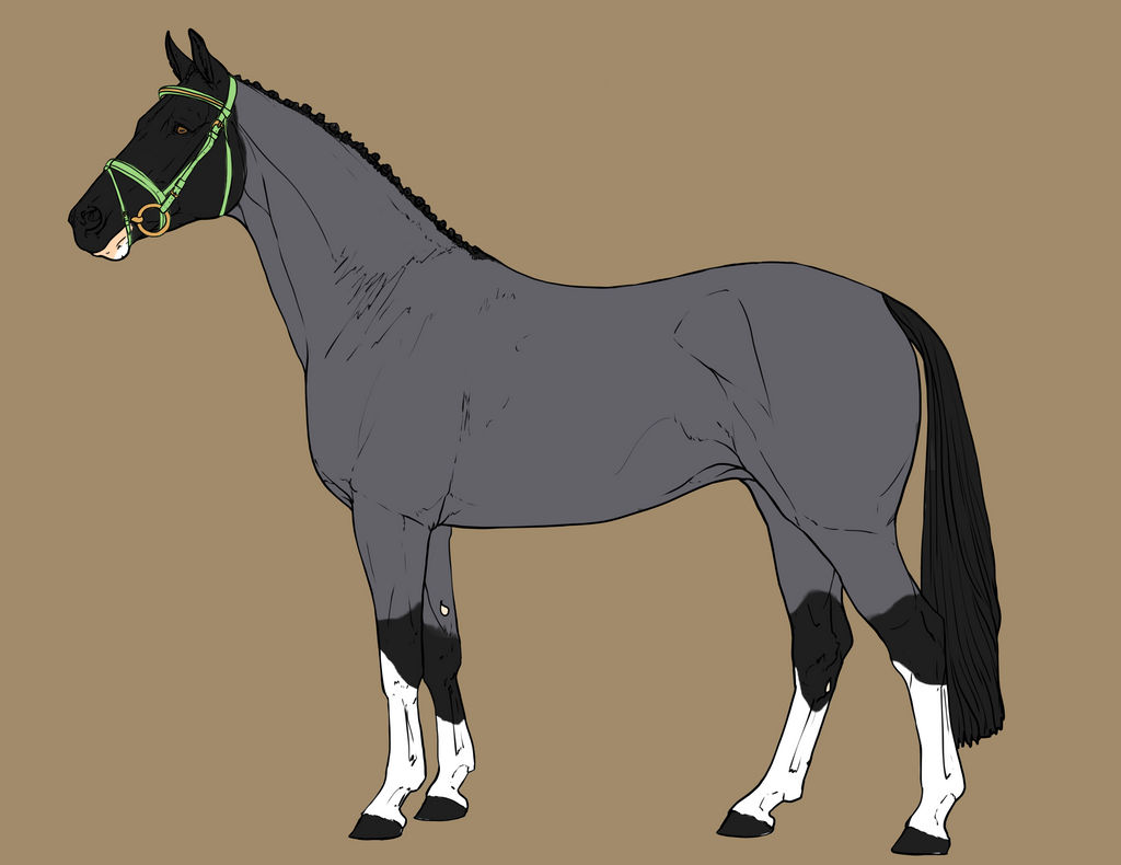 Horse adopt (open)