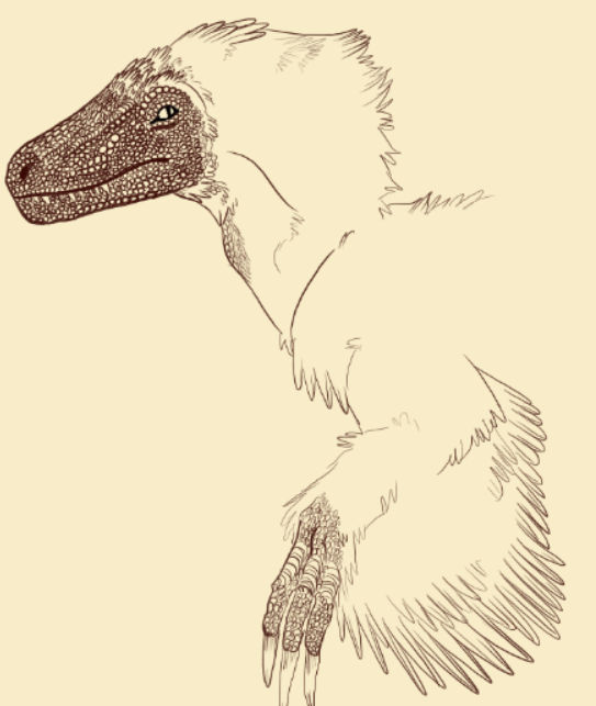 Raptor WIP by JayDrawingss on DeviantArt