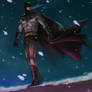 Batman - Richard Grayson