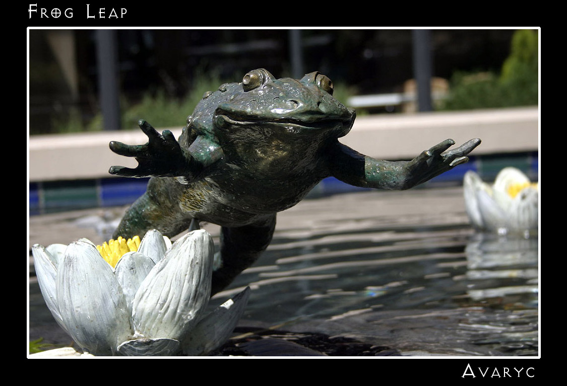 Frog Leap