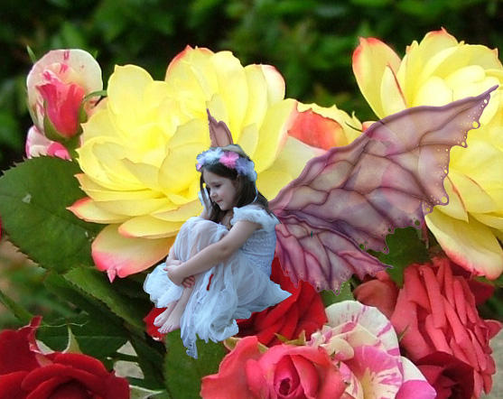 Rose Fairy by astraldreamer on DeviantArt