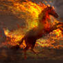 Fire