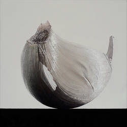 clove of garlic 3, 2016, 40 x 40 cm, oil on canvas