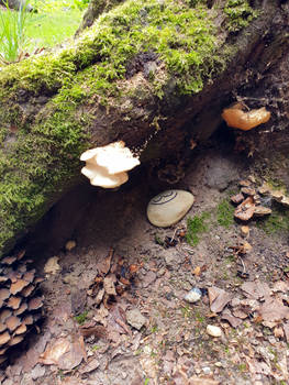 Munnen Stone at Posbank