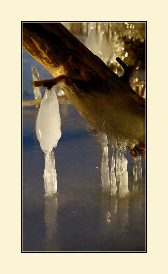 Iced on iced by Maresolo on DeviantArt