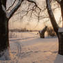 One morning in a snowy park