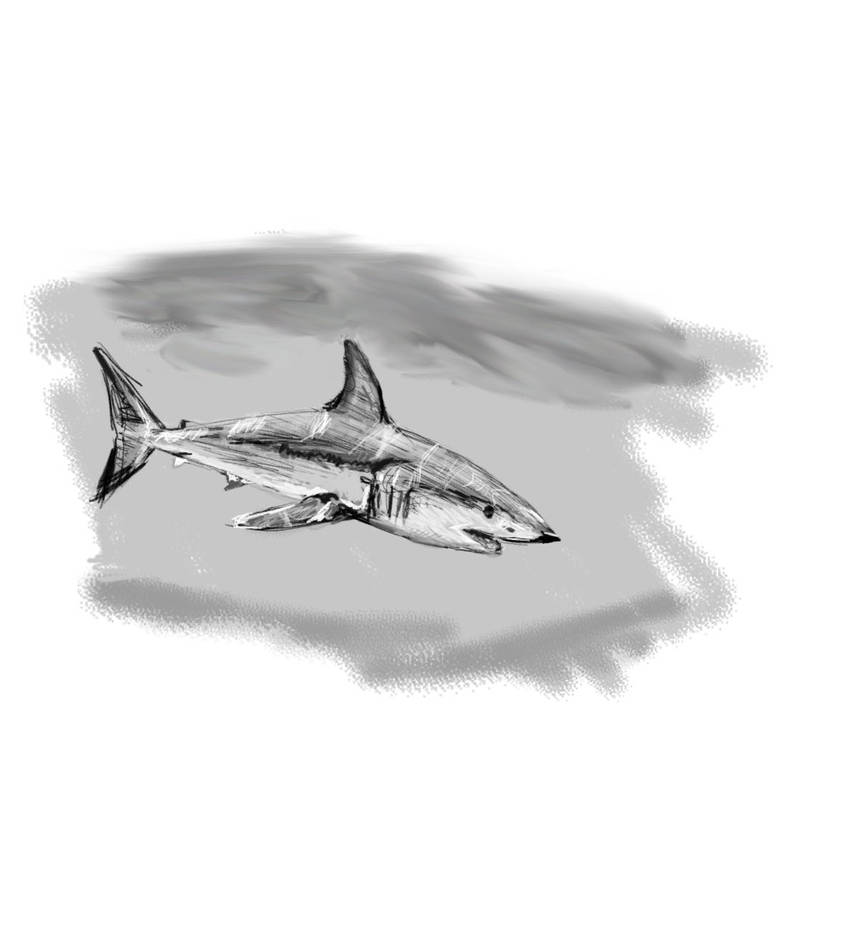 Shark by dkldd on DeviantArt