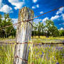 Old Fence Post