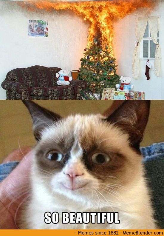 Grumpy Cat Meme About Happiness Challenged by MelSpyRose on DeviantArt