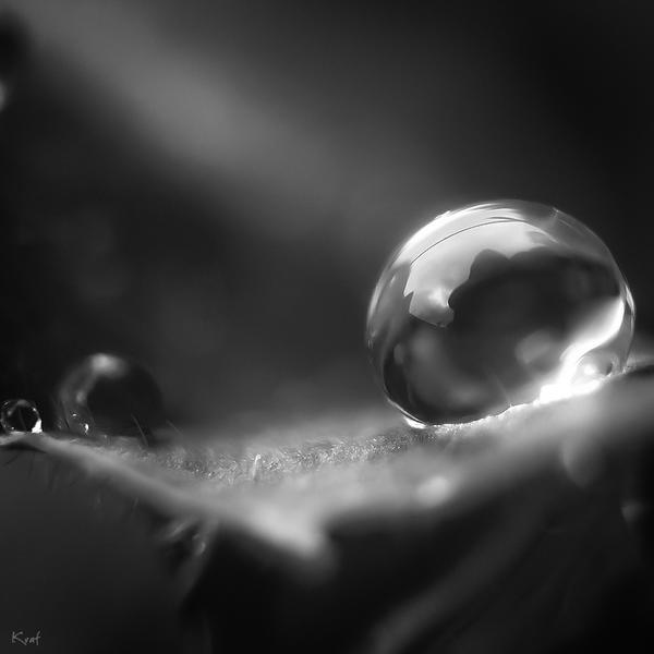Essence naturelle... by Ikonokl4st Essence naturelle... by Ikonokl4st