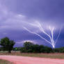 Tree Lightning