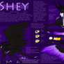 Shey dragon reference 2011-2012