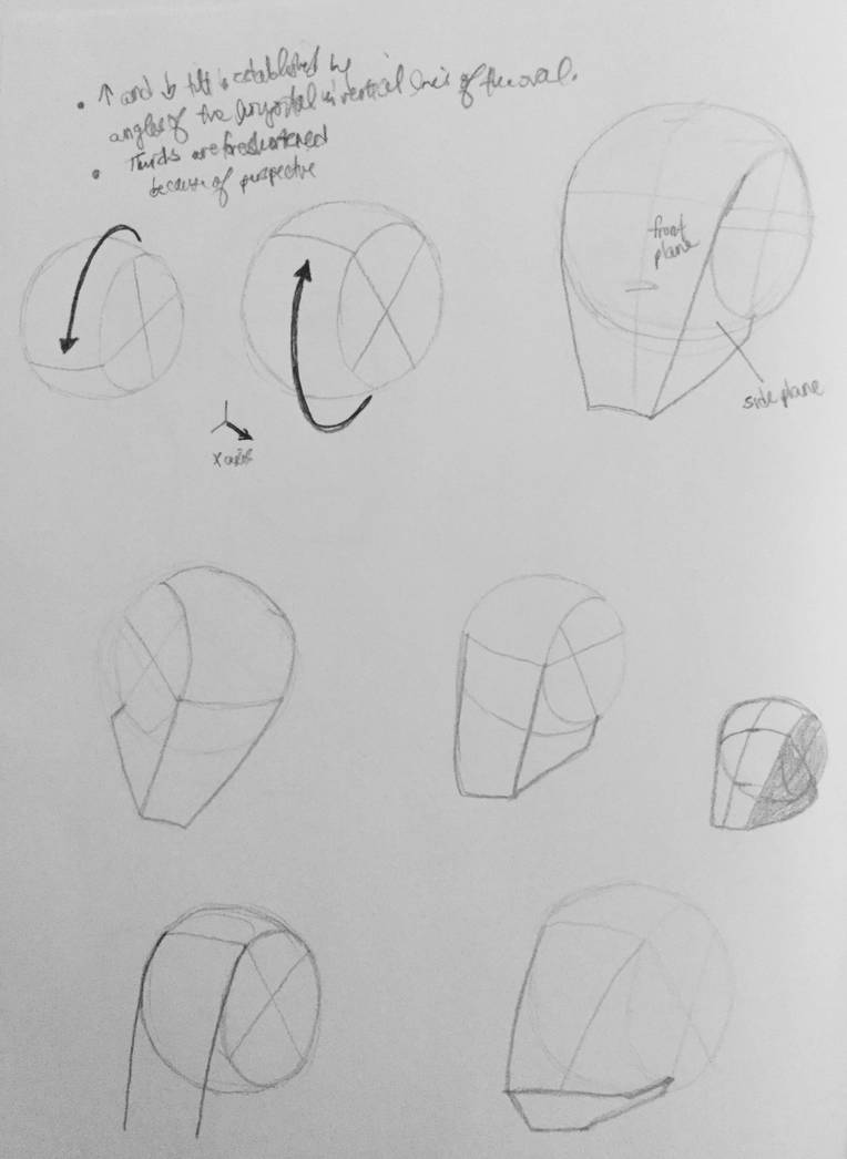Practice: Head Angles by hhhell on DeviantArt