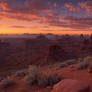 Arizona dawn