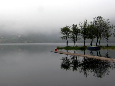 Lake in the morning fog I