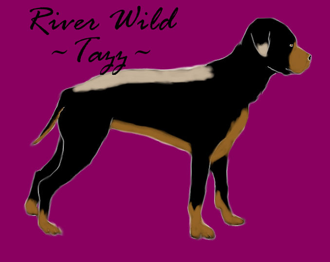 River Wild - Tazz by FlyingColorGraphics on DeviantArt