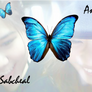 butterfly angie sab