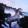 Sound of the Ocean