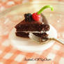 Chocolate Fruit Cake Slice Miniature