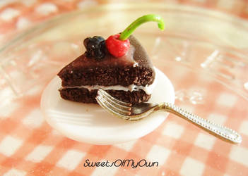 Chocolate Fruit Cake Slice Miniature